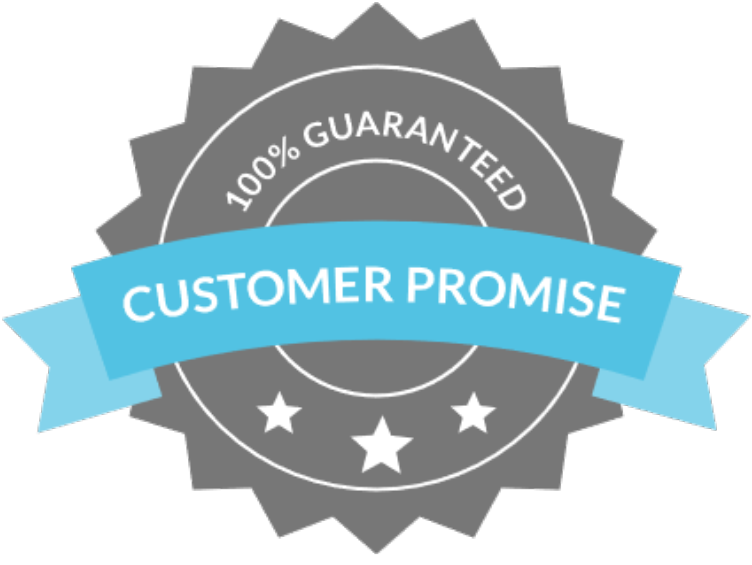 100% customer satisfaction promise icon