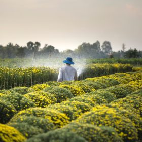Agriculture